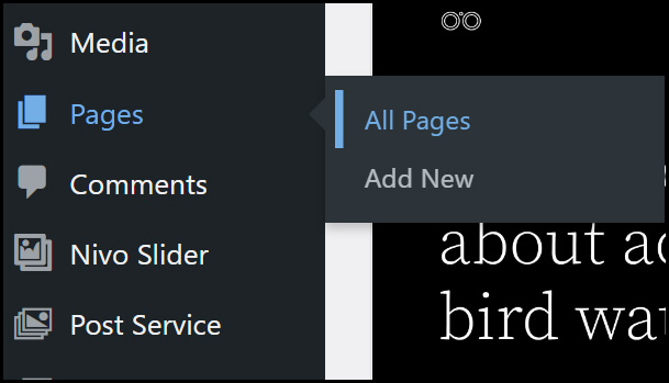 Adding Pages to your WordPress site