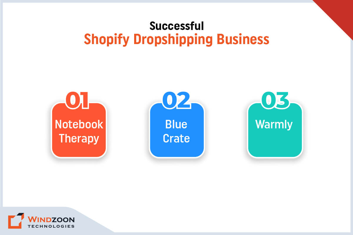 Successful Shopify Dropshipping Businesses
